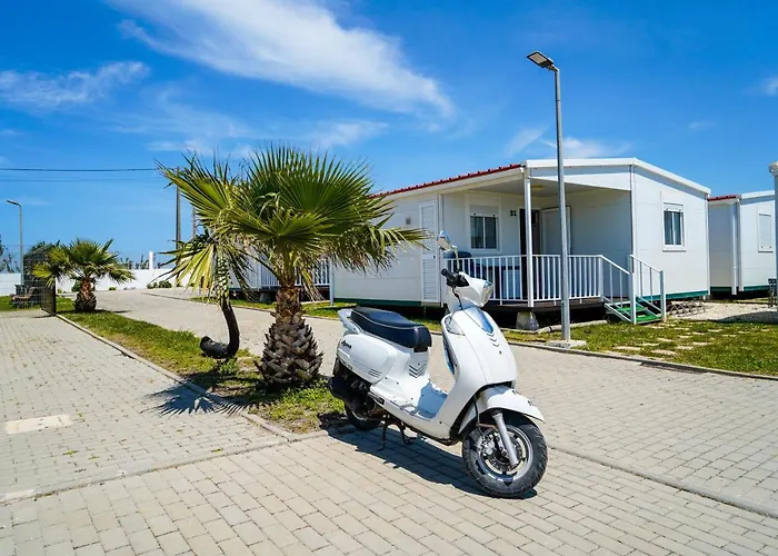 Urban Art By Campigir